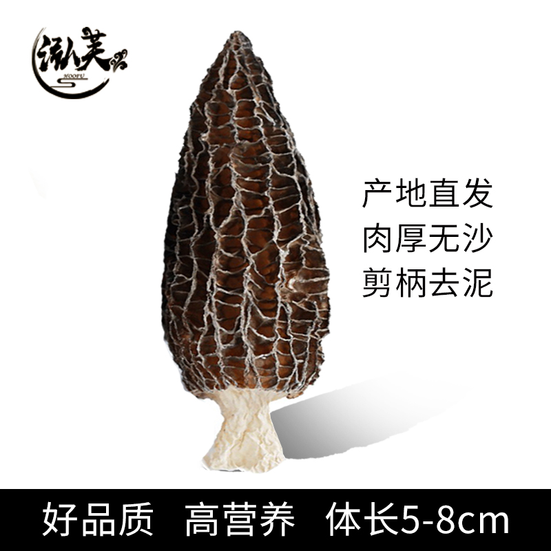 湖南金芙農(nóng)業(yè)科技有限公司,湖南蛹蟲草,湖南羊肚菌,蛹蟲草,羊肚菌,龍新,蟲草酒哪里好,衡陽(yáng)食用菌,衡陽(yáng)羊肚菌,衡陽(yáng)蛹蟲草 湖南金芙農(nóng)業(yè)科技有限公司,湖南蛹蟲草,湖南羊肚菌,蛹蟲草,羊肚菌,龍新,蟲草酒哪里好,衡陽(yáng)食用菌,衡陽(yáng)羊肚菌,衡陽(yáng)蛹蟲草